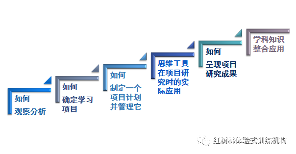 成长的关键阶梯