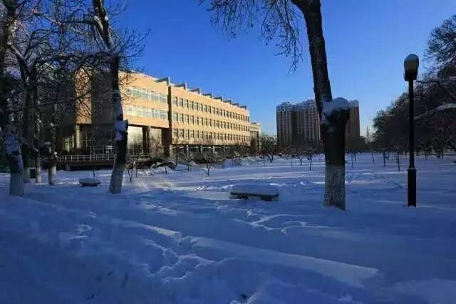 动漫嘉年华 7 风景宜人 新疆农业大学的校园一年四季都有着不一样的