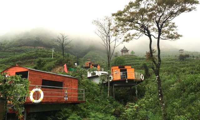 【独家两天纯玩专场】连山皇后山茶庄园"赏茶采茶品茶,黑山梯田