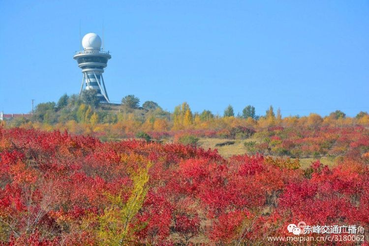 赤峰市红山城区人口_赤峰市红山公园图片