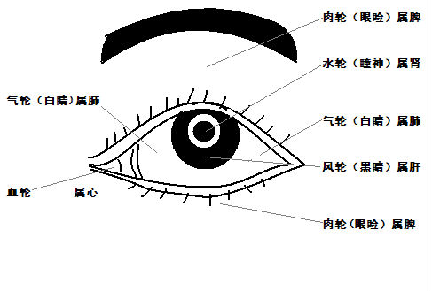 面诊中如何用眼部诊病?收集得超全!