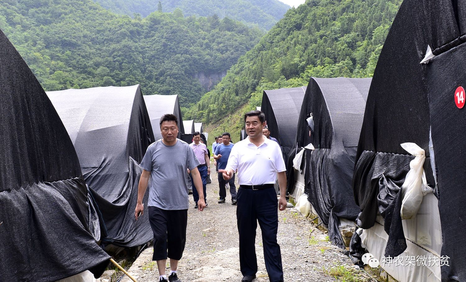 李发平深入红坪镇官封村调研精准扶贫产业发展 公路建设和美丽乡村