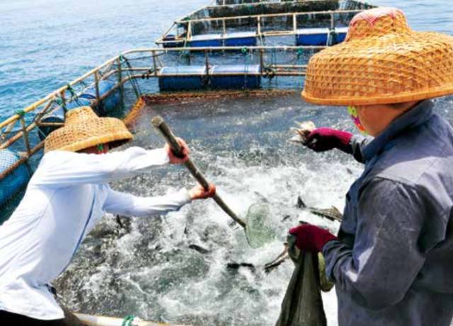 【细说海洋】深远海养殖——渔业最具发展潜力的产业