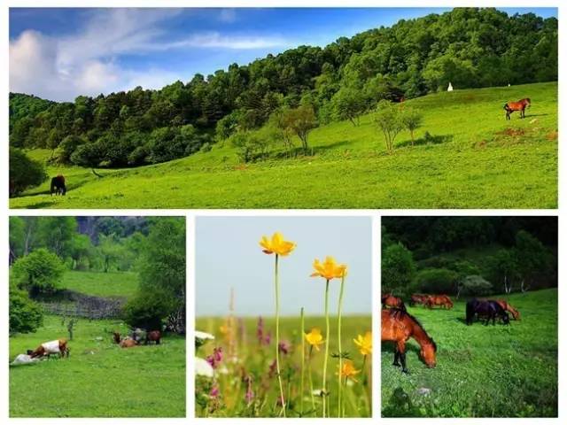 行程安排 早集合乘车赴大水川景区,抵达后换乘景区交通车赴大水川