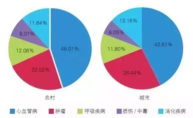 人口老龄化病毒_人口老龄化(3)