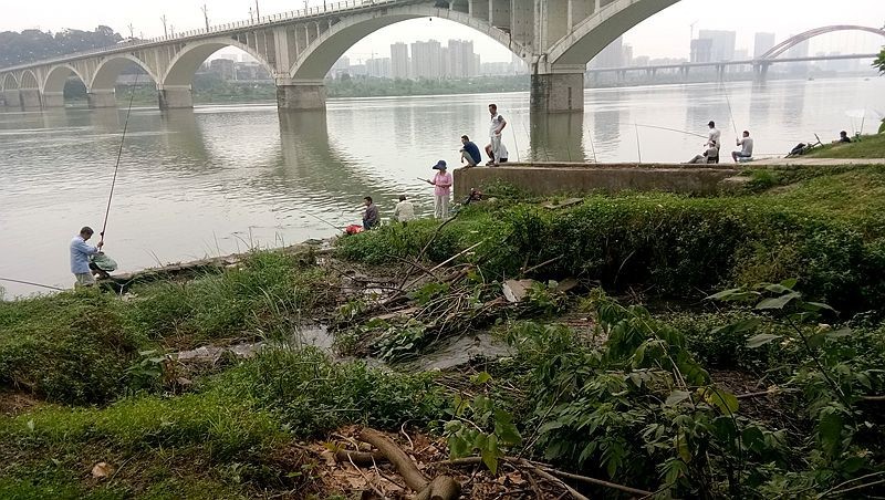 南充市有多少人口_南充市顺庆区人民zf