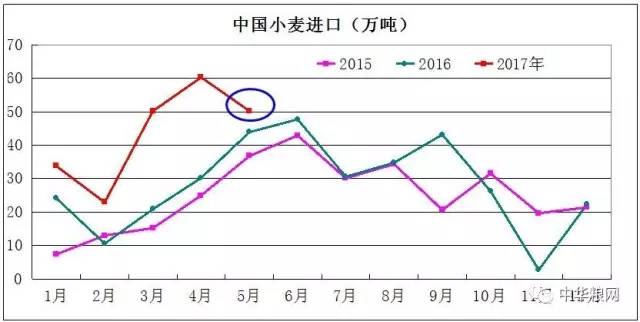 中国5月玉米进口同比降幅近100 小麦稻米等进口稳增