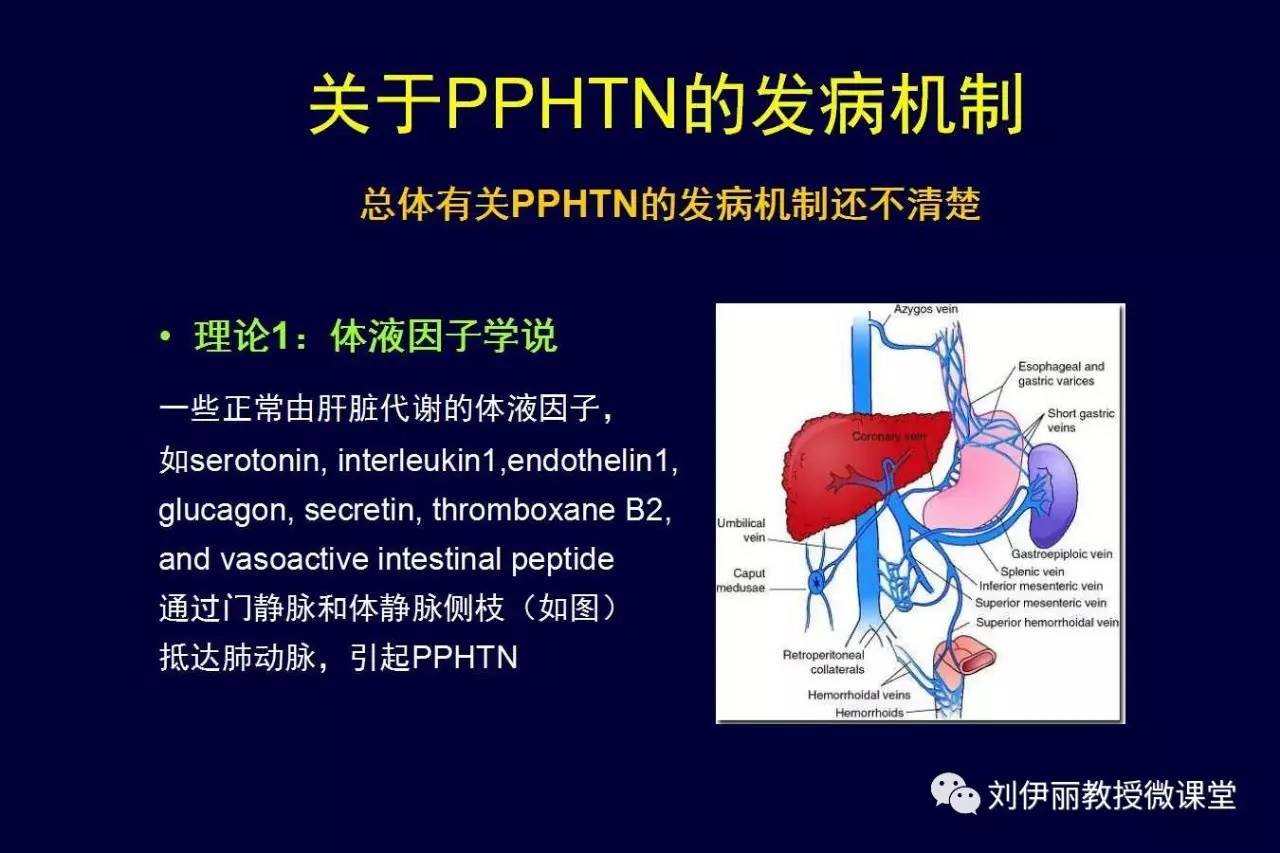 外伤性门静脉肺动脉高压症