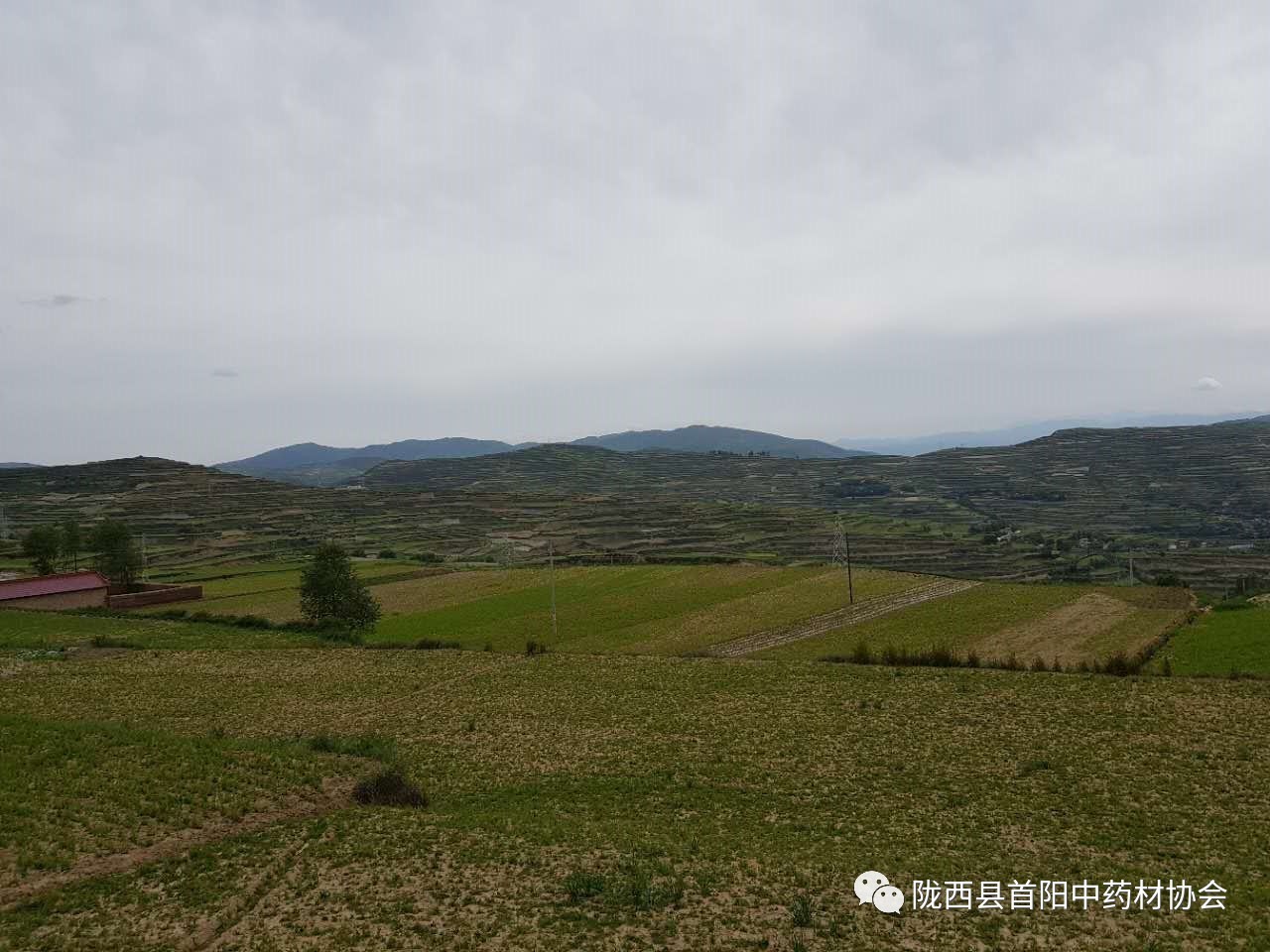 陇 西 县 主要走访考察福星镇牛蹄湾,马营湾,双泉乡何家沟村等地,土壤