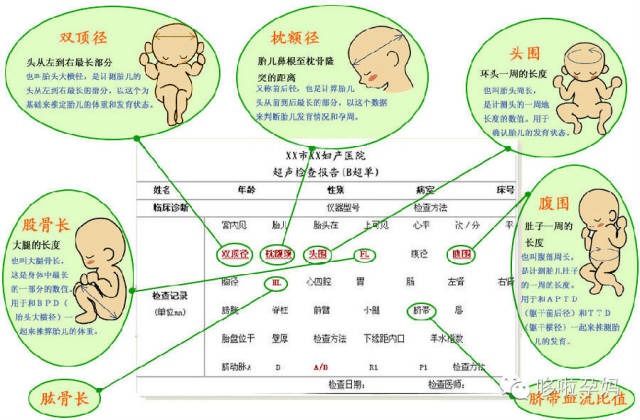 大小应该是多少_教育指南_百度教育攻略   怀孕了,什么都小心翼翼的