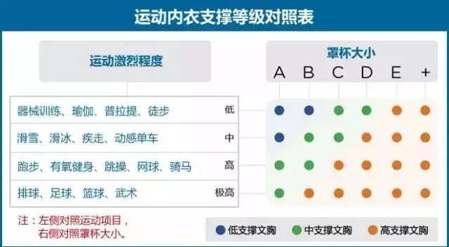 运动内衣_运动内衣的作用(3)