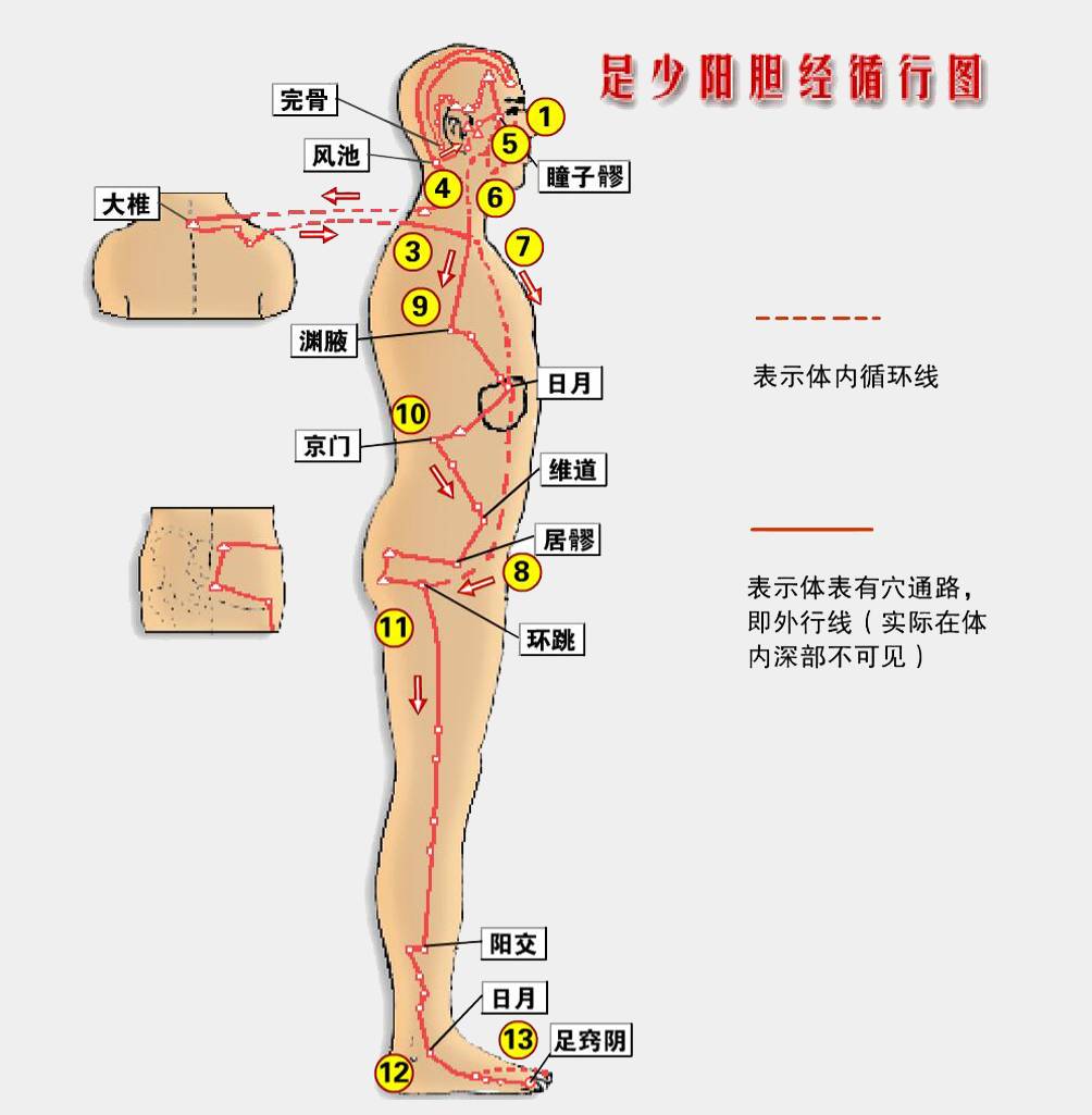 手臂经络图6条对应图及作用