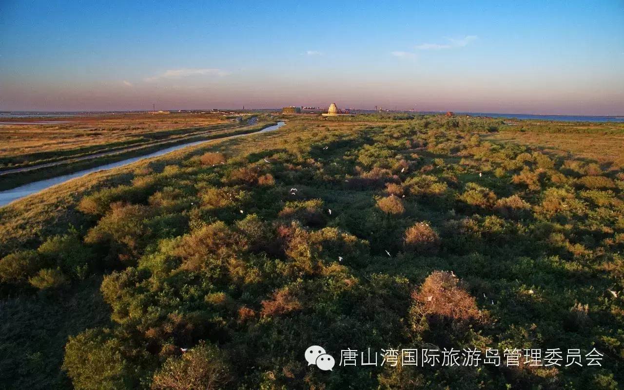 唐山国际旅游岛喊你来投票