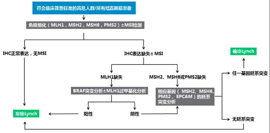 遗传性结直肠癌lynch综合征的前世今生