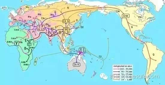 非洲人口迁移_10万年前现代人类开始走出非洲时人口数量还不到一百万 如今全