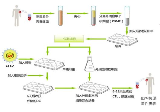 actl治疗技术的治疗流程与应用范围