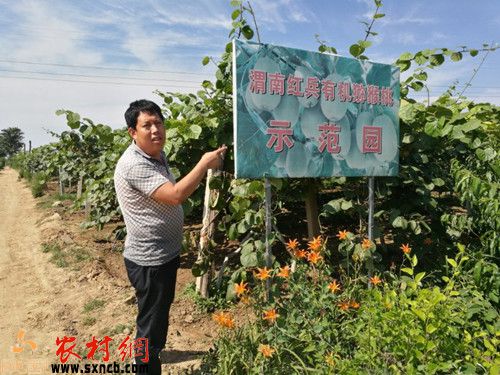 丰原镇人口_渭南东塬丰原镇风景