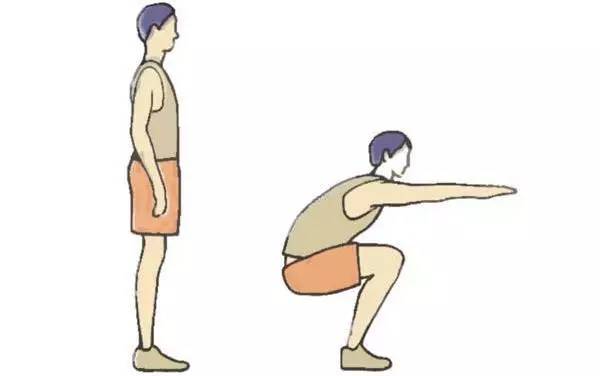 11,助性,增强性功能 下蹲练习有助于增强男性性功能,因为下蹲运动能