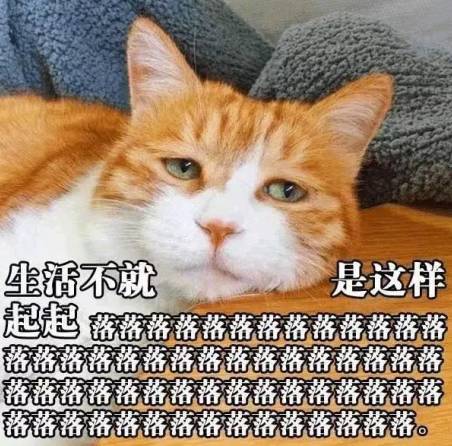 鬼畜猫咪表情包, 看完之后整个人都丧了