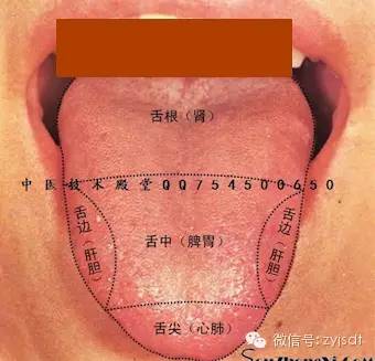 几乎失传的手诊舌诊有个顺口溜再学舌诊很轻松