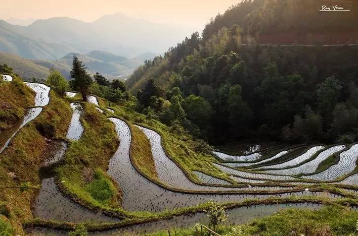 【梨树洲村庄风景 】