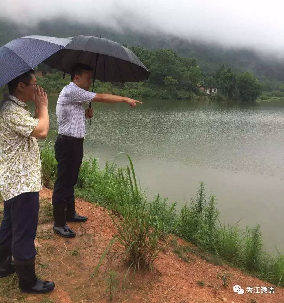 就算大雨把整座城市浇透,他们给你怀抱