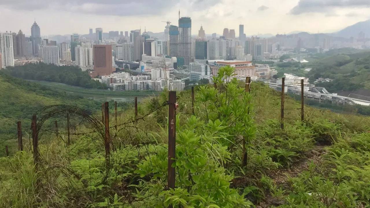 繁华的深圳荒凉的香港二