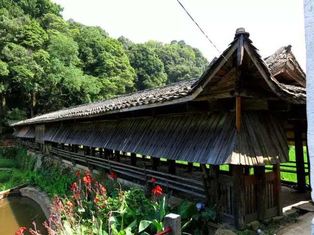 在素有"福建庐山"的南平茫荡山上,有一个千年古村落,名叫宝珠村,海拔