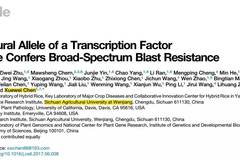 世界人口问题 论文_转变中的中国与世界人口问题研究 上海社会科学院人口与(3)