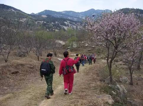 郭家庄人口_山东郭家庄郭氏家谱