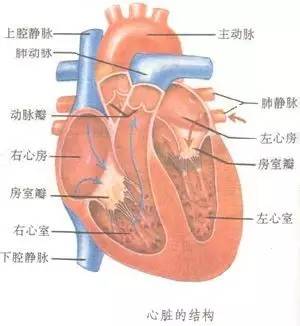 左肩酸痛