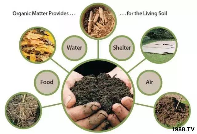 施多少有机肥能提高土壤有机质1%?看看专家怎
