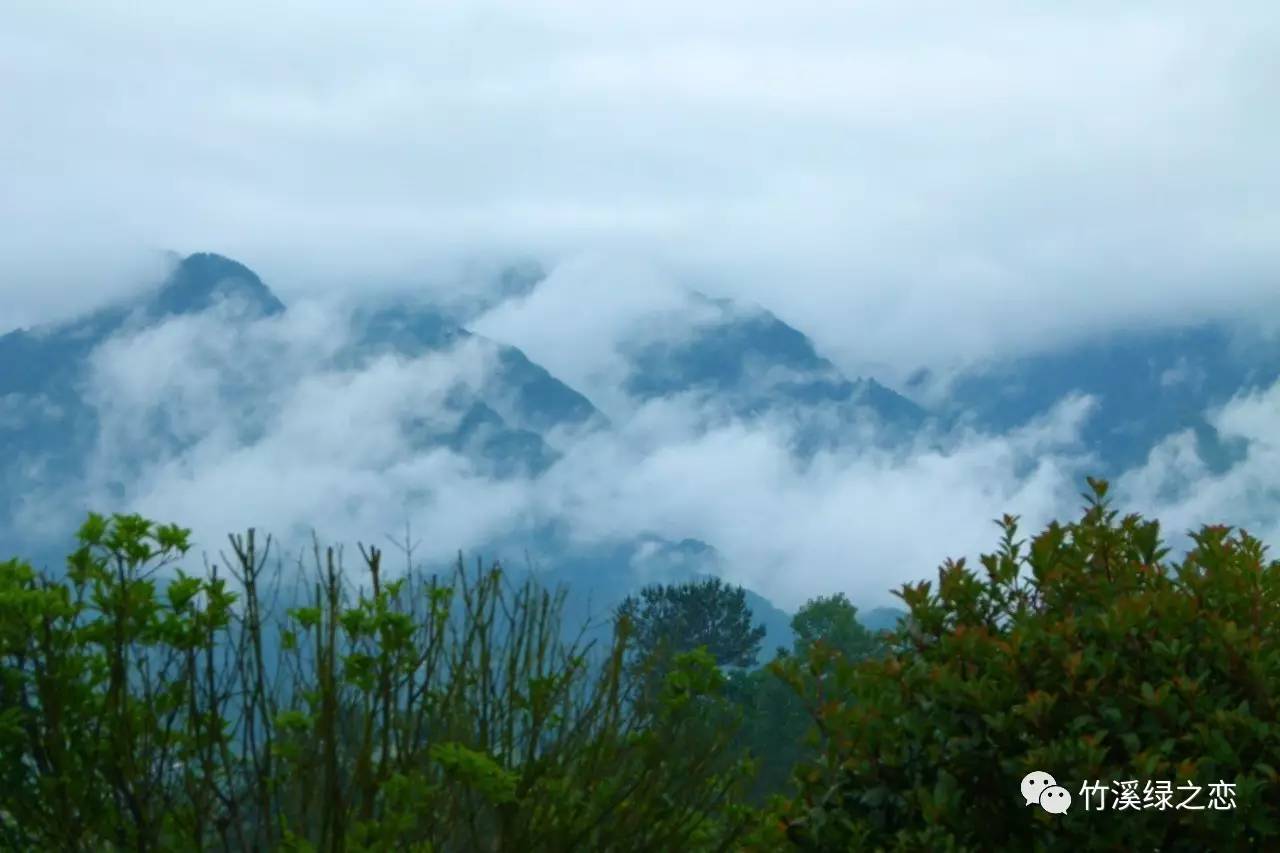 乡趣绿之恋旅游区竹溪县绿之恋园林绿化有限公司诚聘各路精英