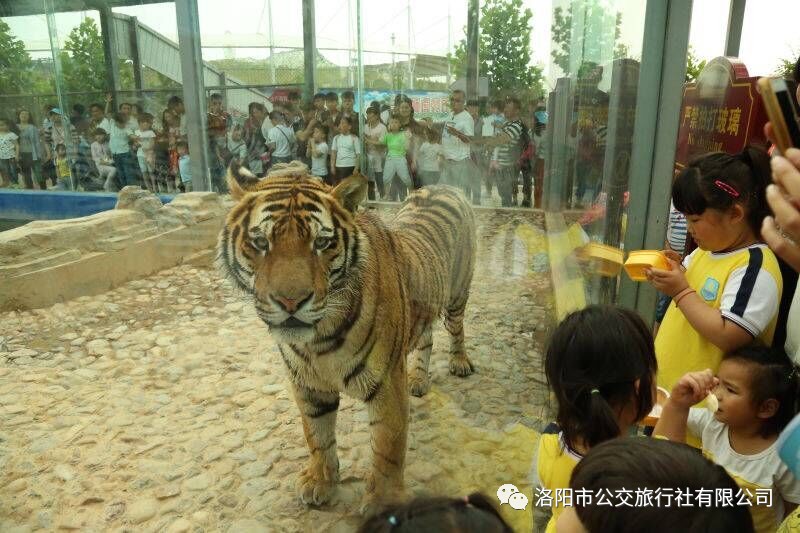 五龙山响水河三园通玩一日游