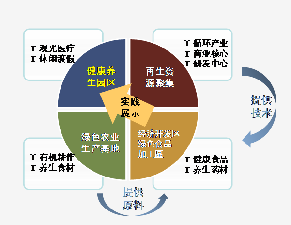 环嘉集团发展背景