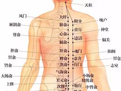 体质采用温艾悬灸的方式:在大椎穴,膏肓穴,身柱穴,肺俞穴,命门穴,关元