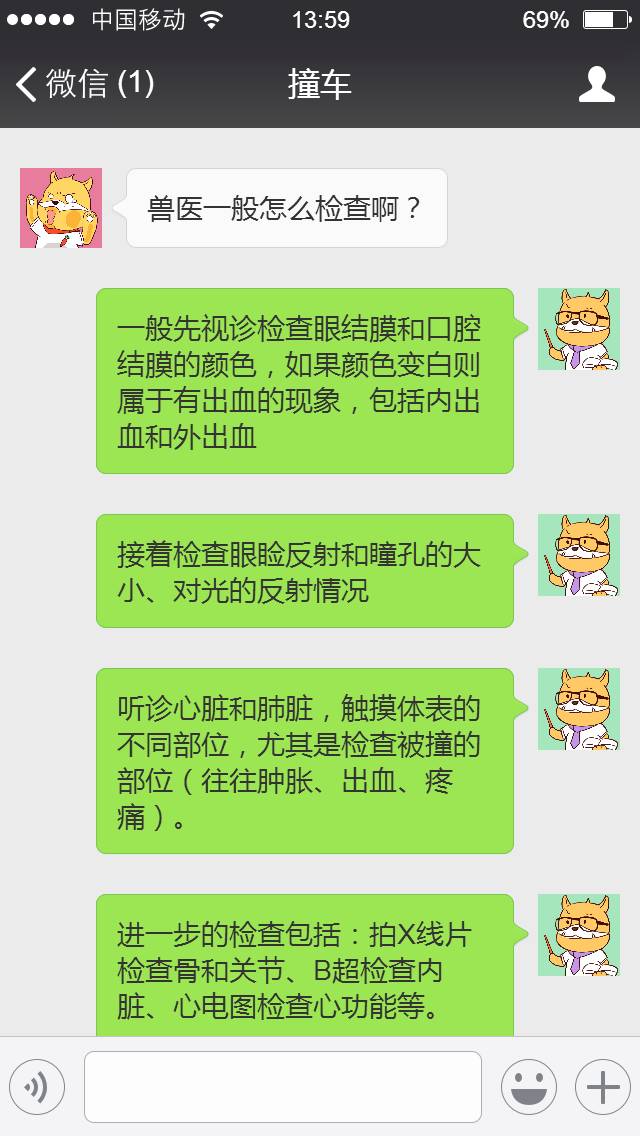 狗狗腿被车撞了怎么办