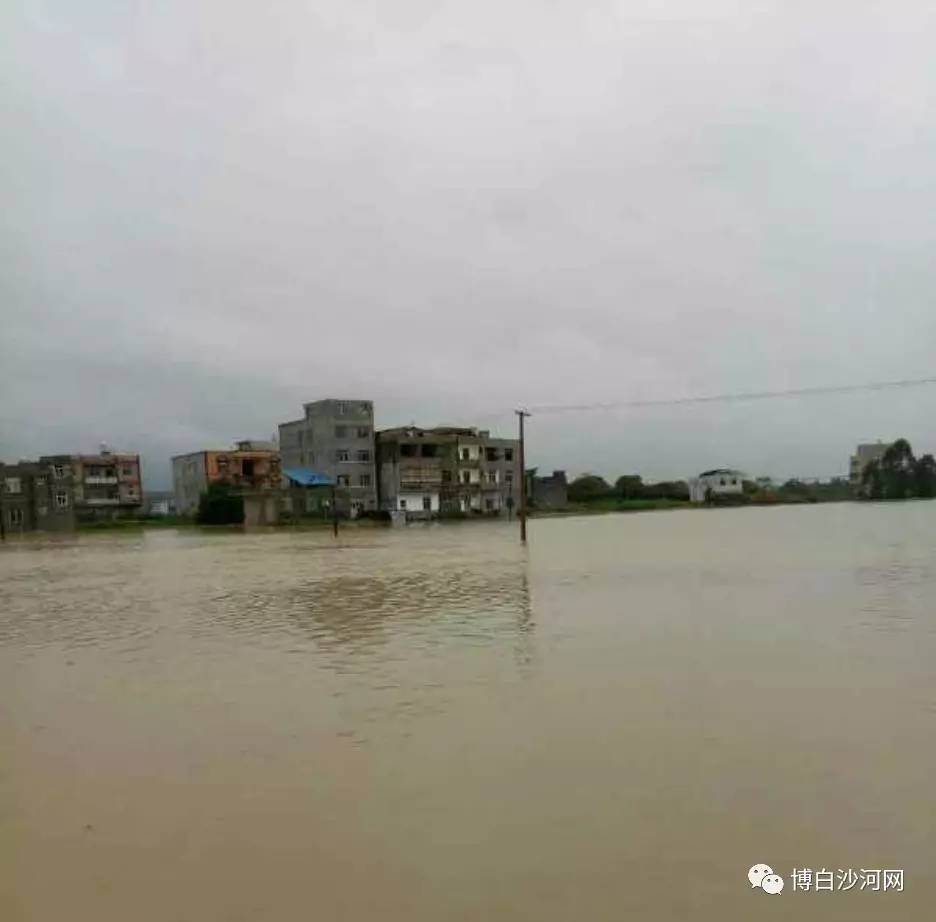 沙河暴雨,玉林,博白洪水到来,沙河镇南流江下游多个村庄变汪洋!