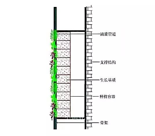 摆盆式垂直绿化结构