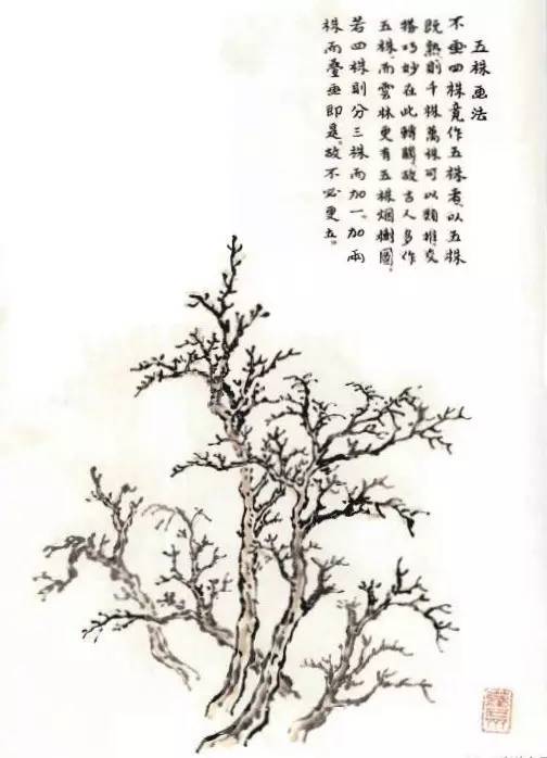 吴蓬临《芥子园画谱》| 视频教程《树谱》我收到啦!