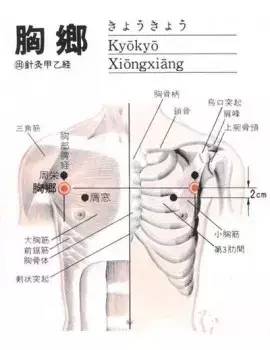 胸乡穴:胸胁疼痛