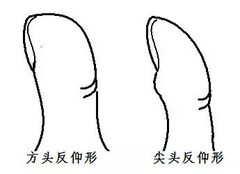 大拇指指纹能断吉凶,你知道吗?