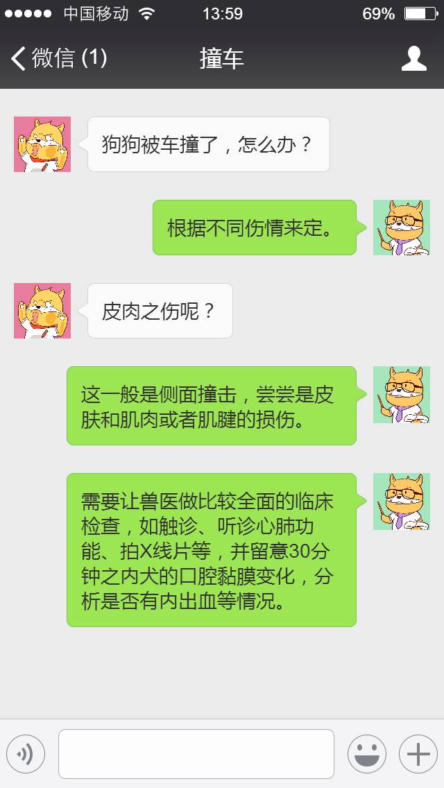 狗狗腿被车撞了怎么办