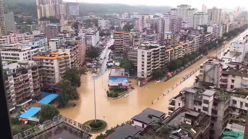 广东惊现