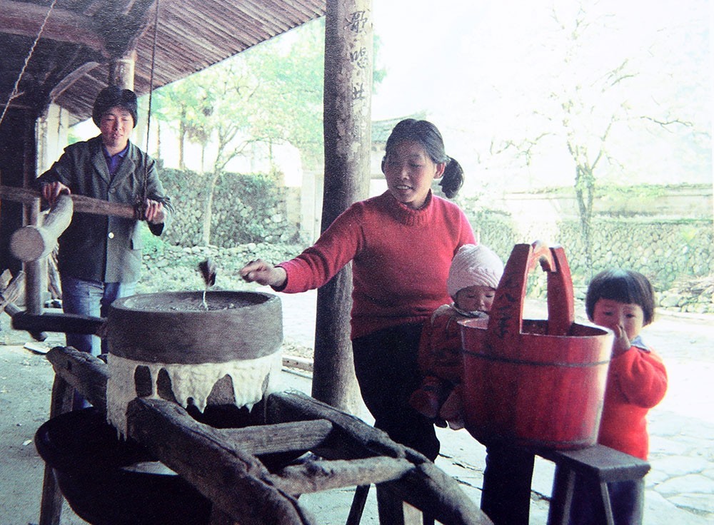 永嘉镇有多少人口_永嘉枫林镇中学(2)