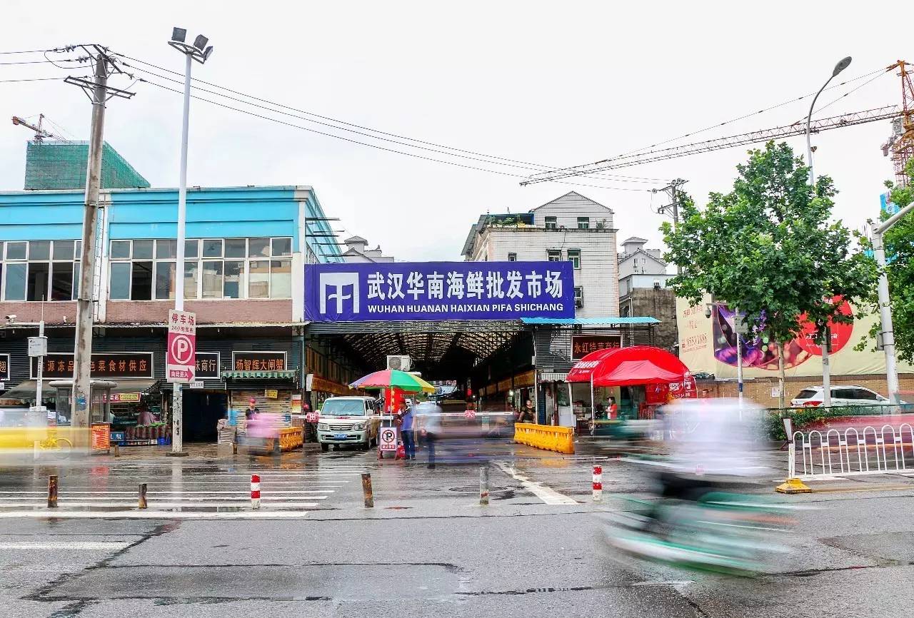 武汉最大的内衣市场_武汉华南海鲜市场图片