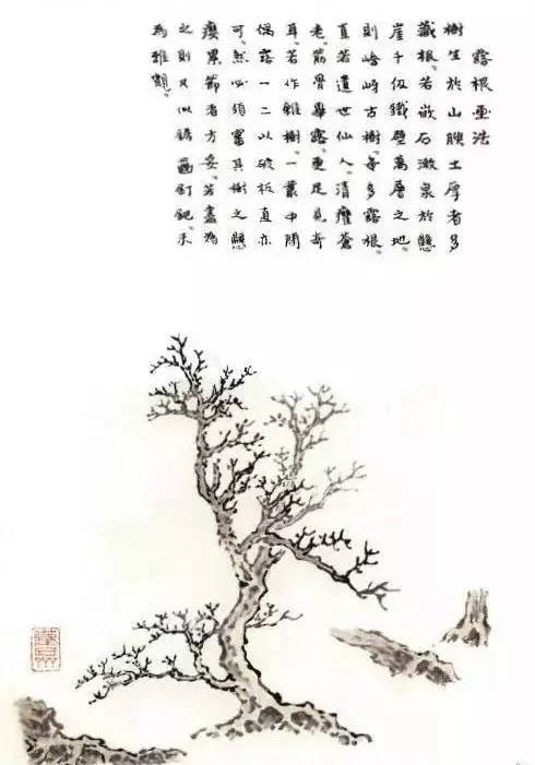 吴蓬临《芥子园画谱 视频教程《树谱》我收到啦!