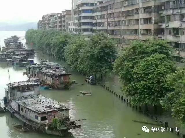 据消息,封开县已出现水浸街