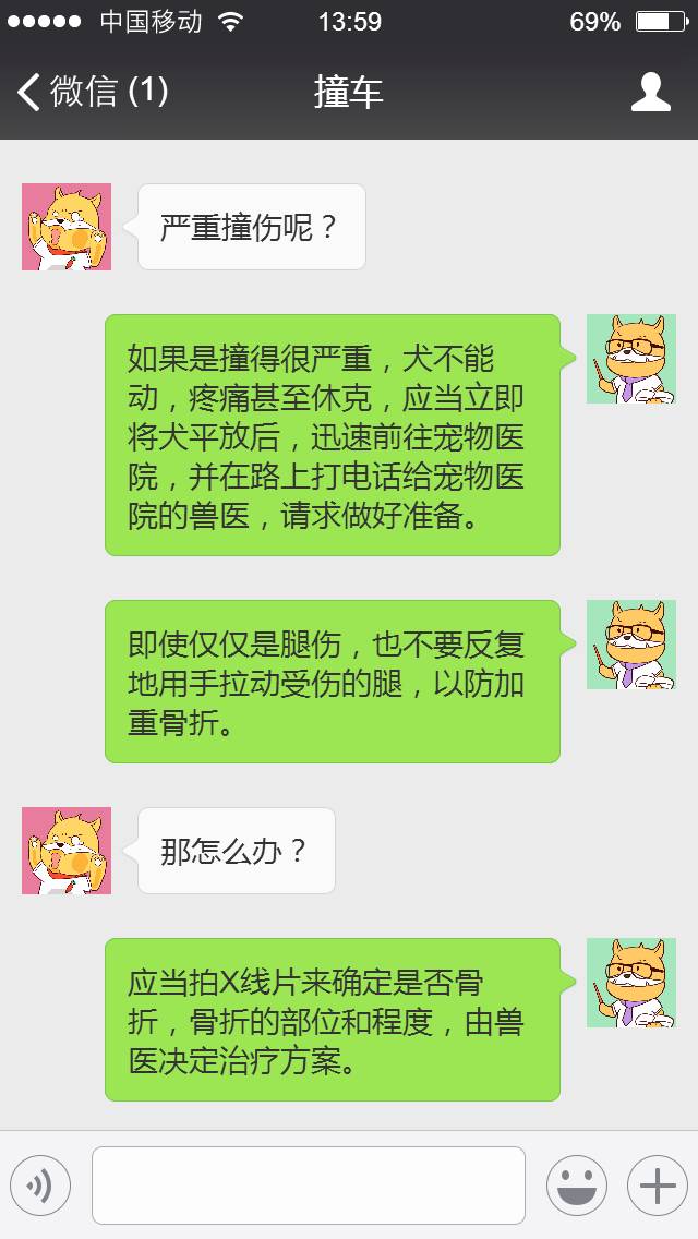 狗狗腿被车撞了怎么办