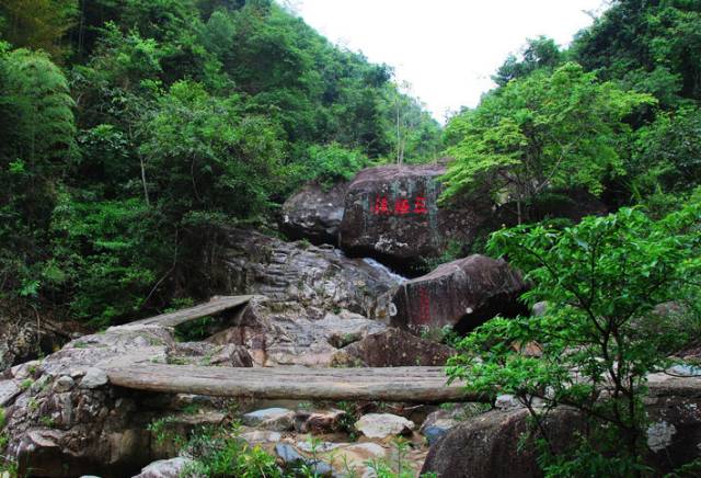 三桠塘幽谷,地处五指山景区,属亚热带山地雨林,气候温和,雨量充沛